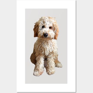 Labradoodle Puppy Dog Posters and Art